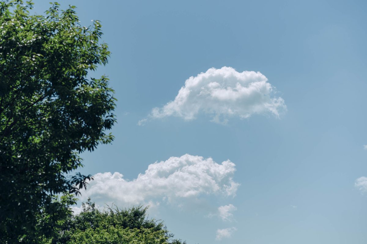 青空に浮かぶ夏の雲と木立